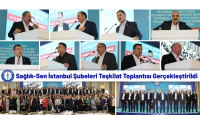 Sağlık-Sen İstanbul Şubeleri Teşkilat Toplantısı Gerçekleştirildi